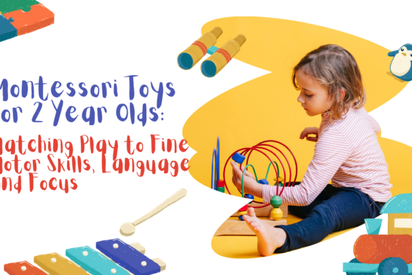 Montessori Toys for 2 Year Old: Matching Play to Fine Motor Skills, Language and Focus